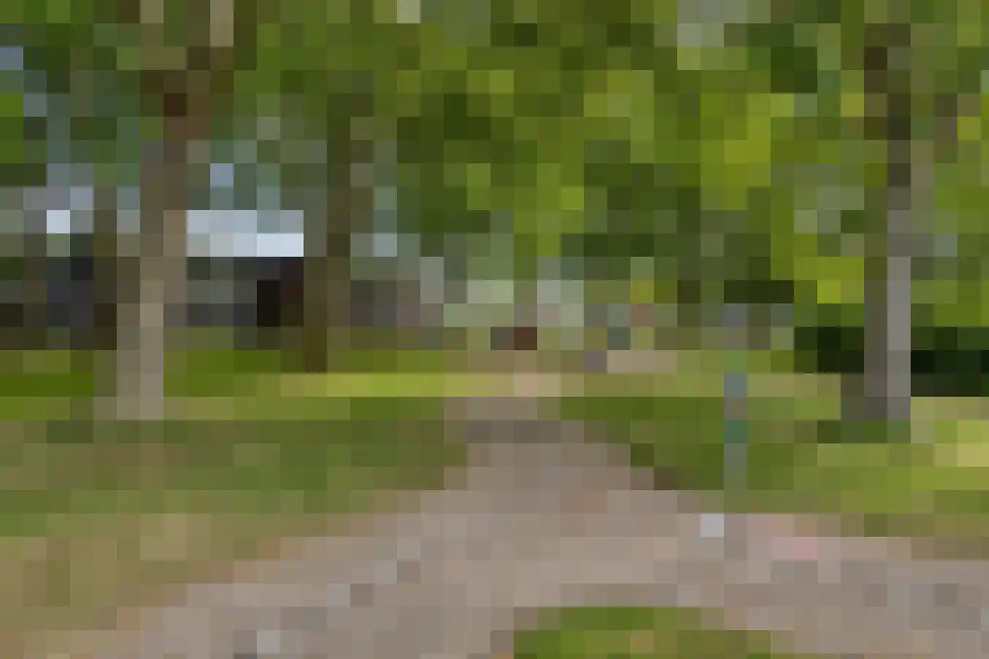 Van 't Hoffstraat 55 Etten-Leur thumbnail 43