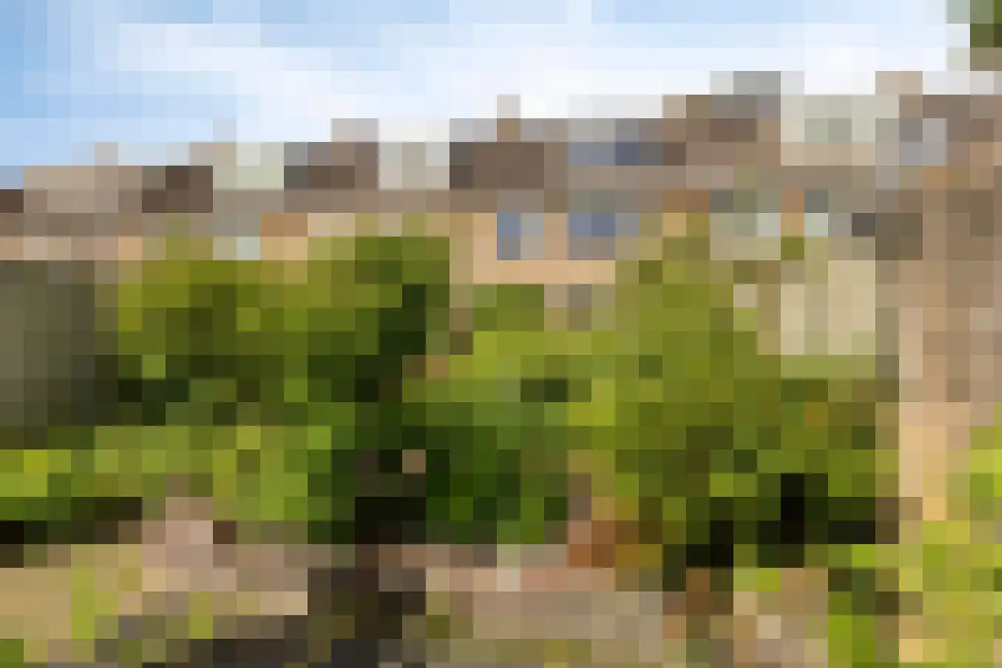 Van 't Hoffstraat 55 Etten-Leur thumbnail 5