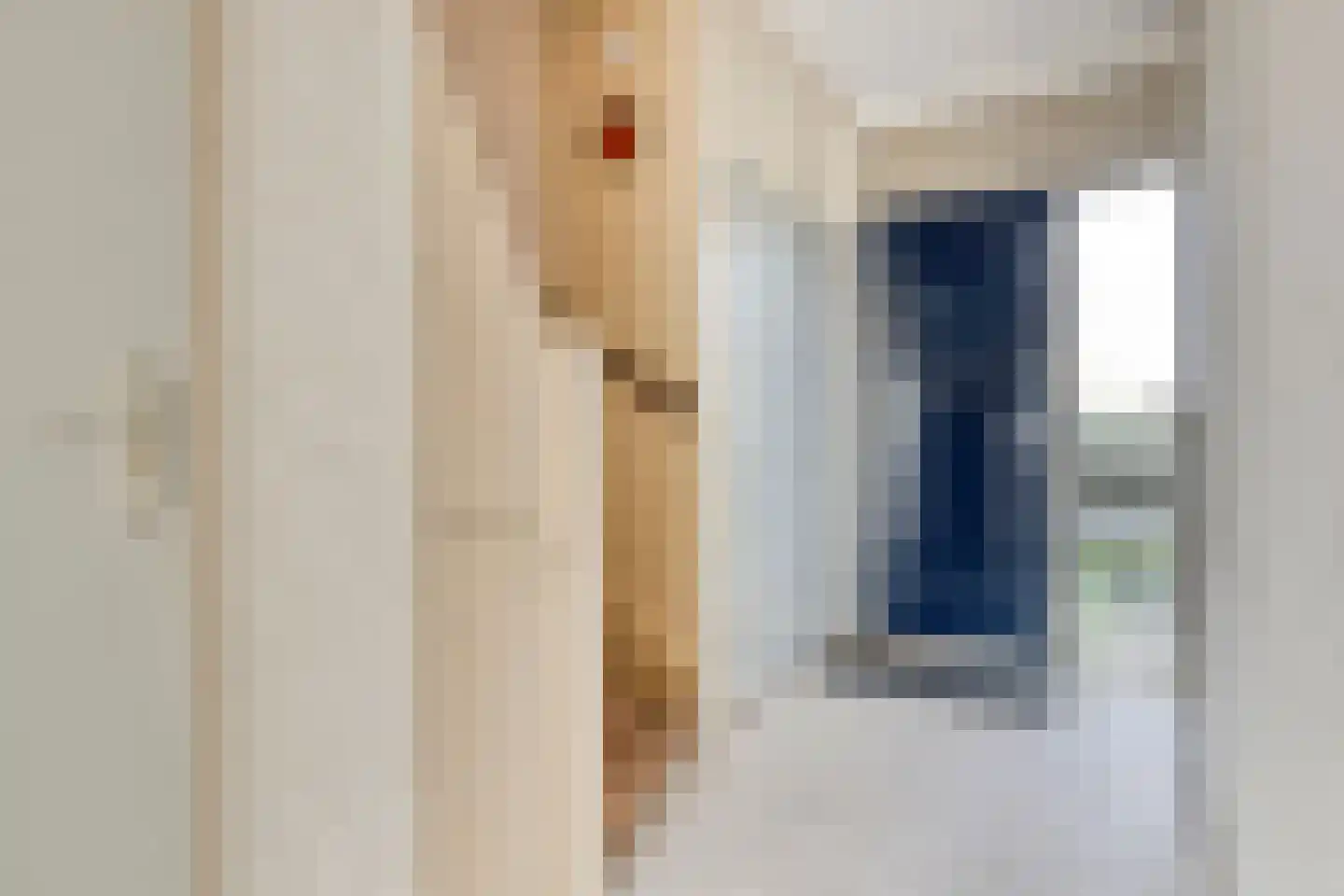 Van 't Hoffstraat 55 Etten-Leur thumbnail 7