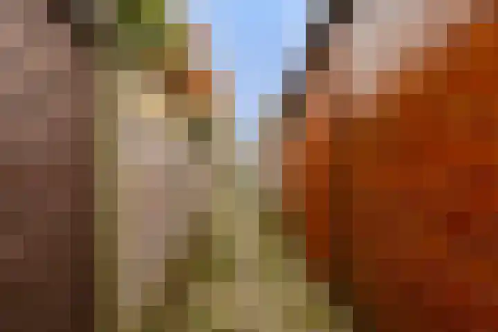 Van 't Hoffstraat 65 Haarlem thumbnail 10