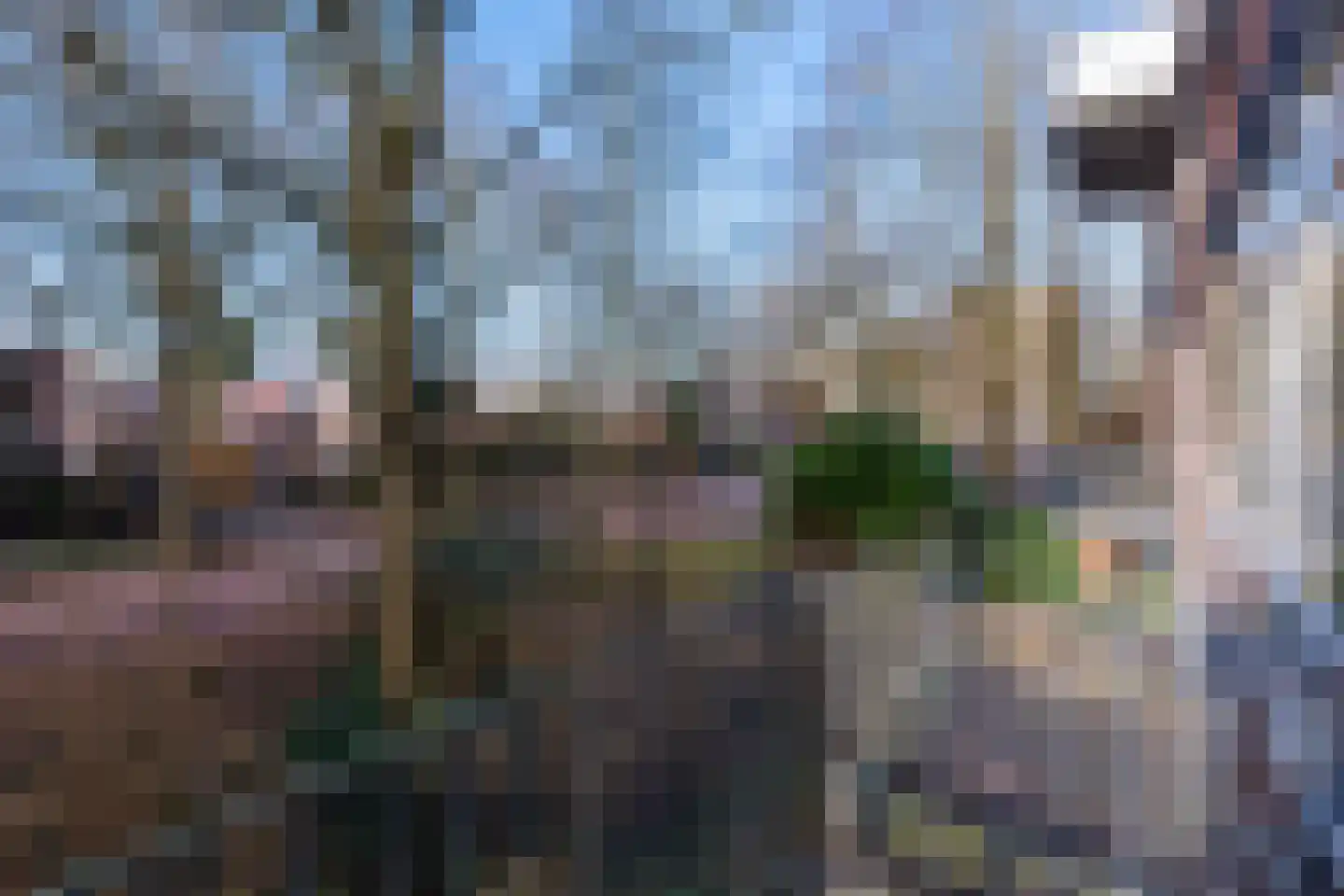 Van 't Hoffstraat 65 Wageningen thumbnail 9