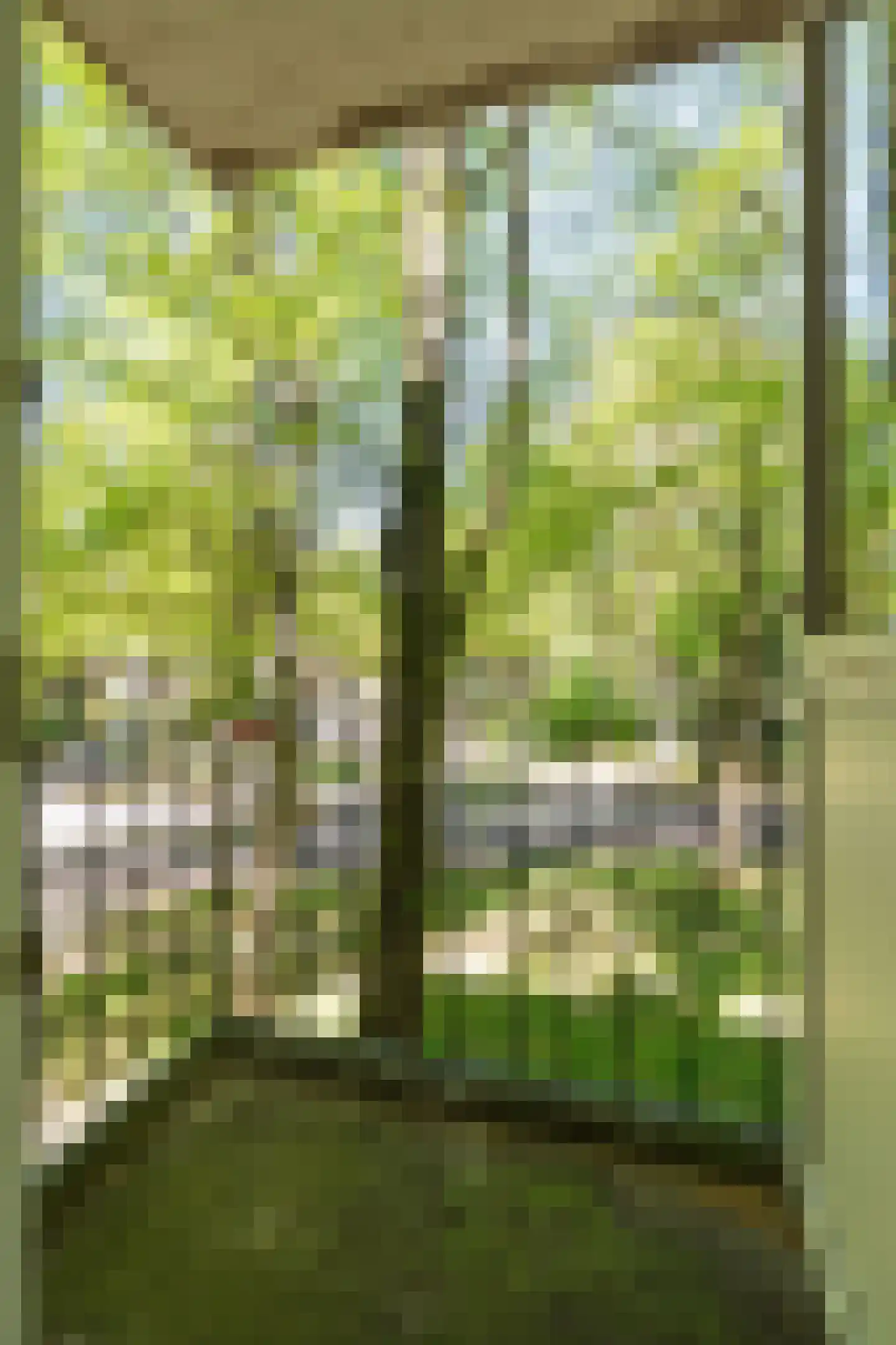 Van 't Hoffstraat 71 Wageningen thumbnail 23