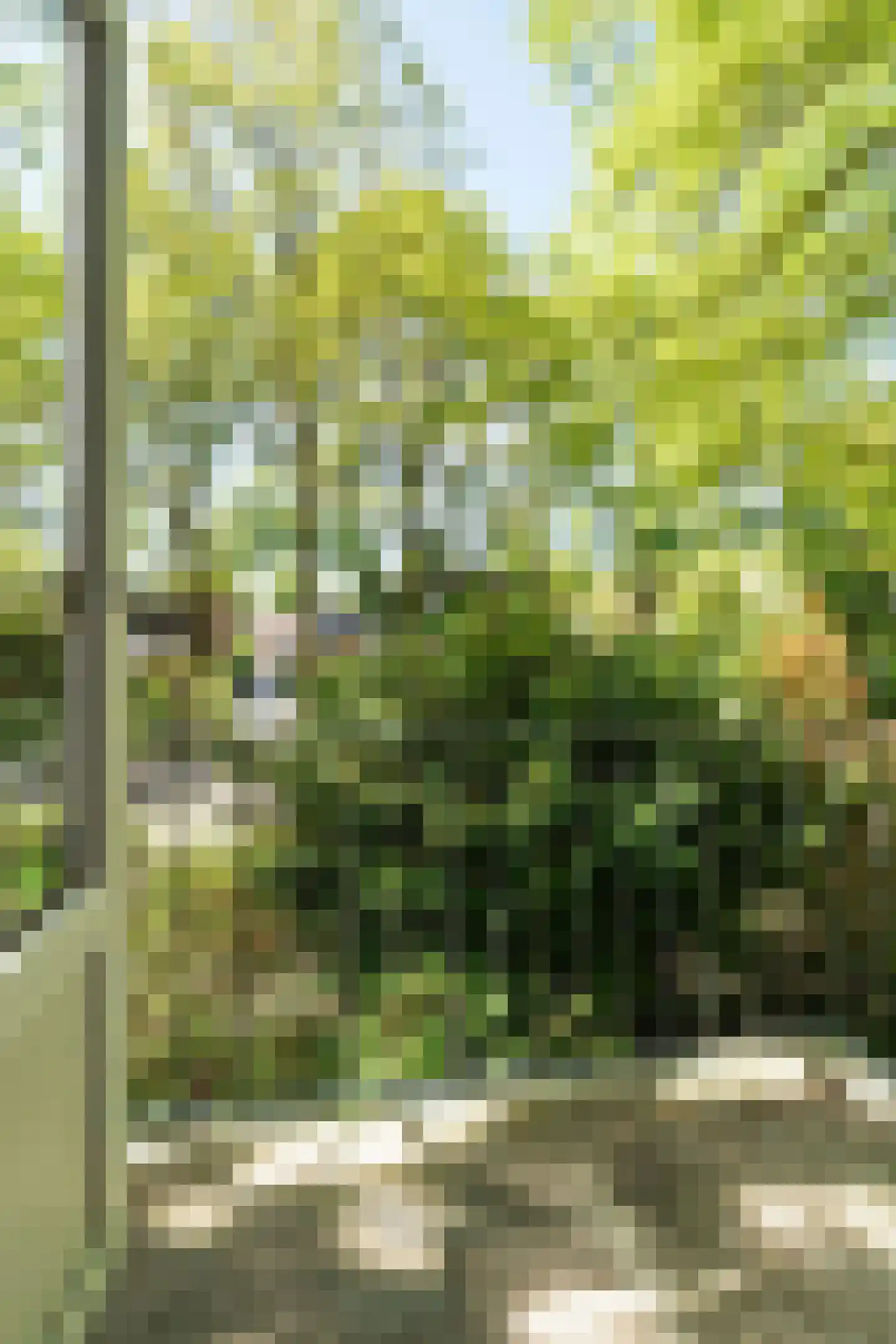 Van 't Hoffstraat 71 Wageningen thumbnail 24