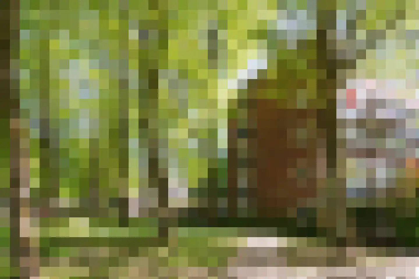 Van 't Hoffstraat 71 Wageningen thumbnail 28