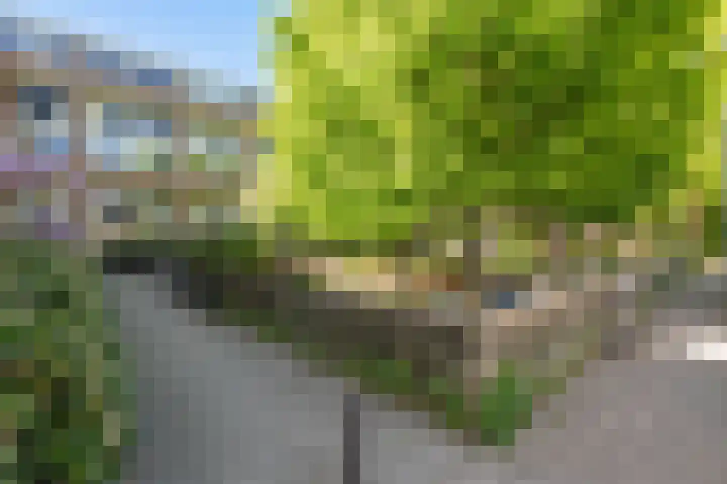 Van 't Hoffstraat 71 Wageningen foto 3