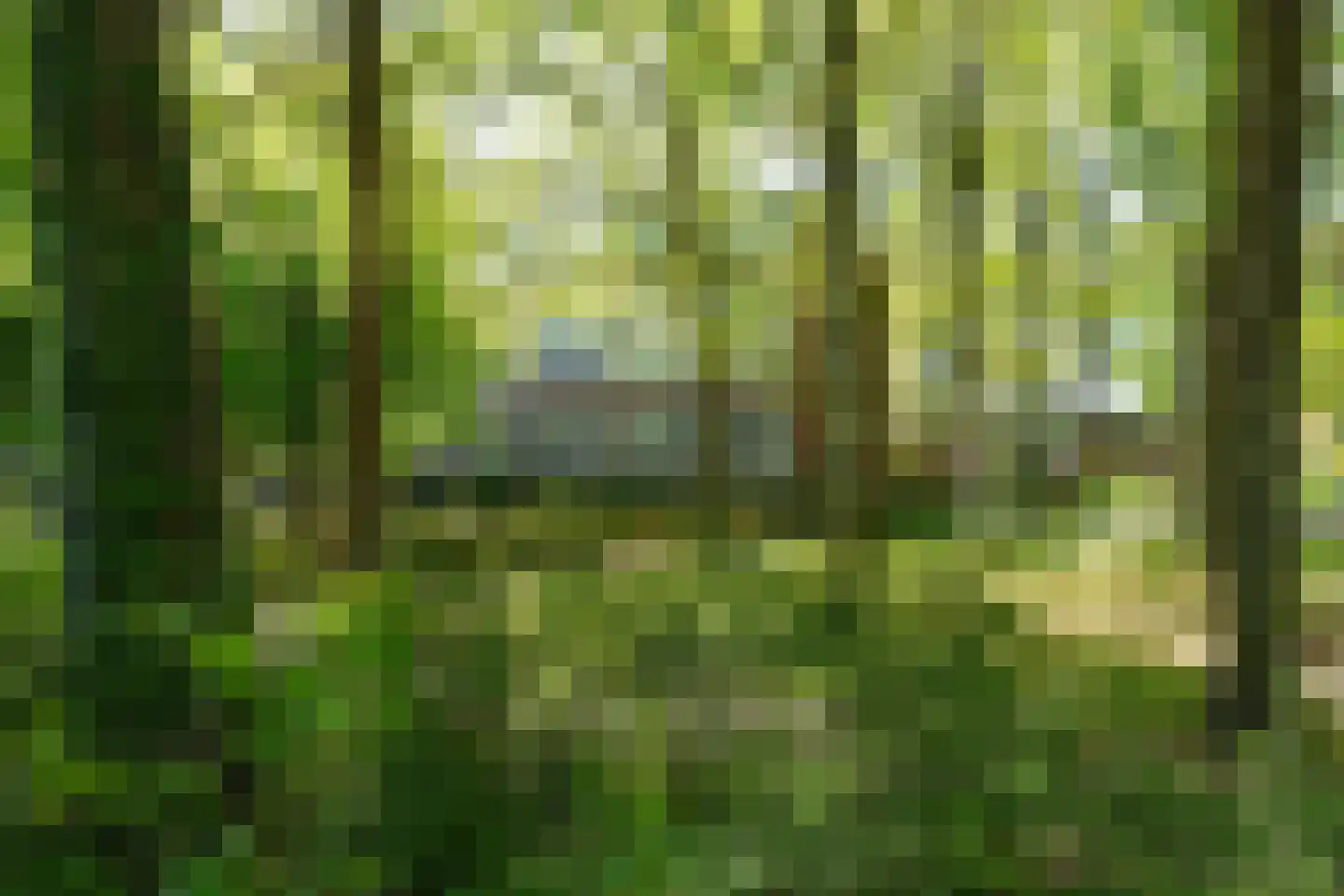 Van 't Hoffstraat 71 Wageningen thumbnail 30