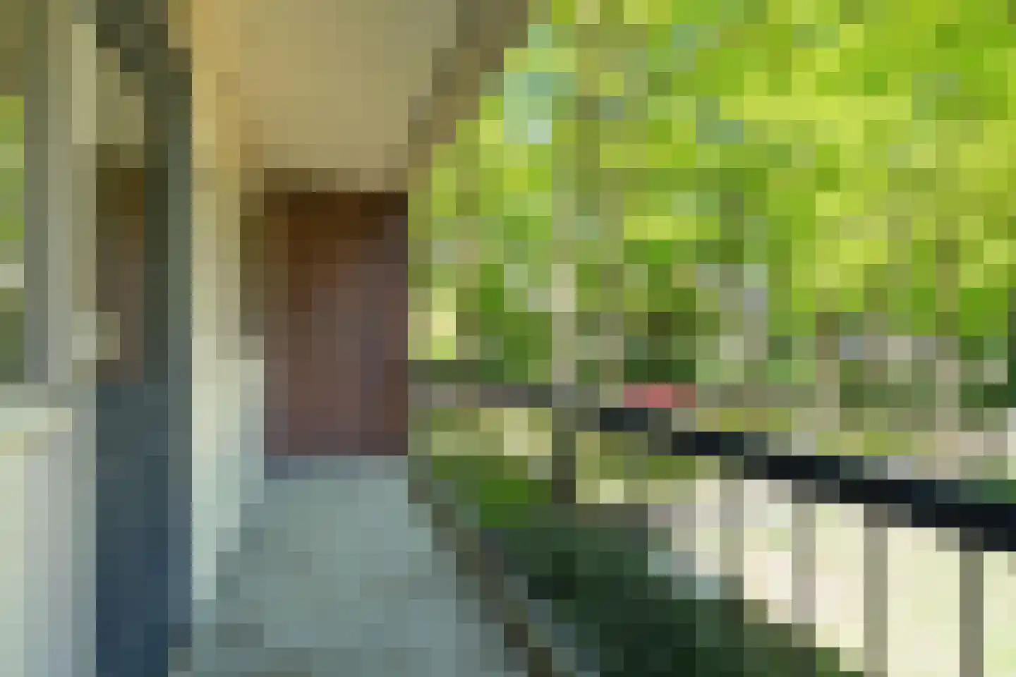 Van 't Hoffstraat 71 Wageningen thumbnail 5