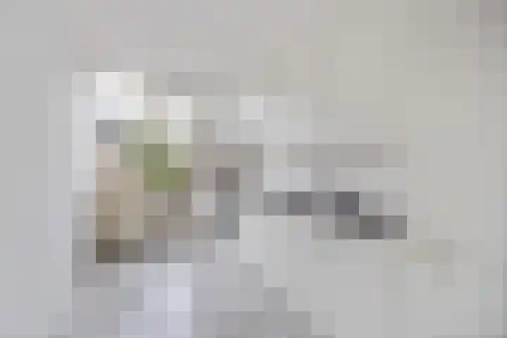 Van 't Hoffstraat 75 Etten-Leur thumbnail 11