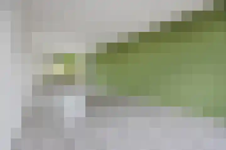 Van 't Hoffstraat 75 Etten-Leur thumbnail 8