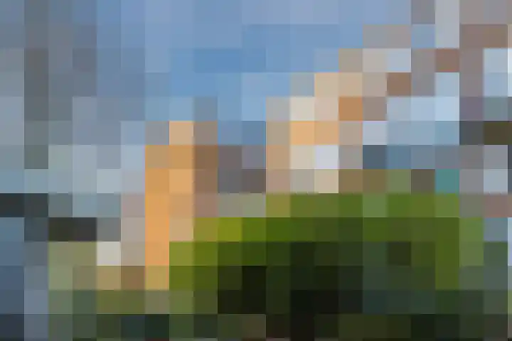 Van 't Hoffstraat 79 Wageningen thumbnail 23