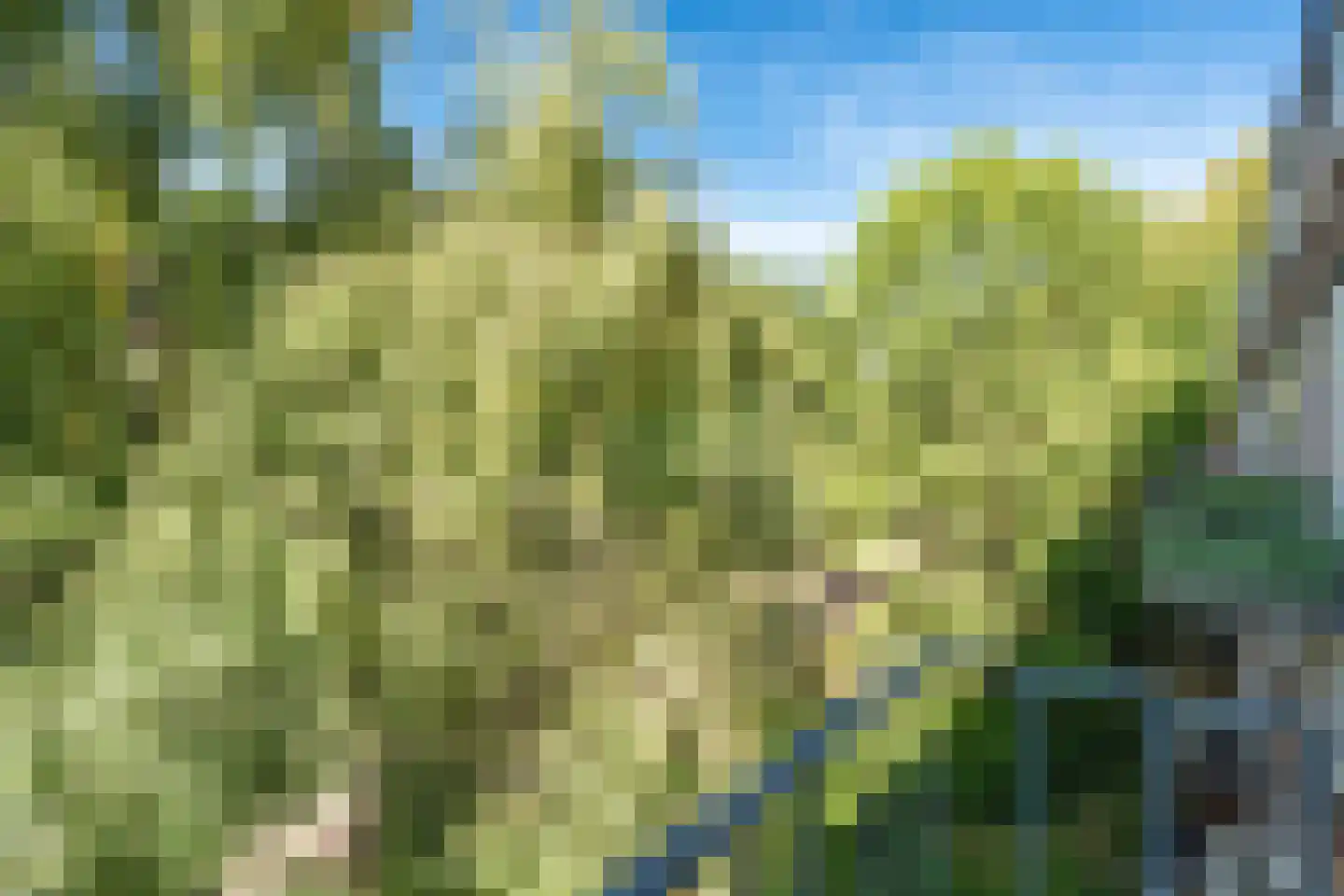 Van 't Hoffstraat 81 Wageningen thumbnail 19