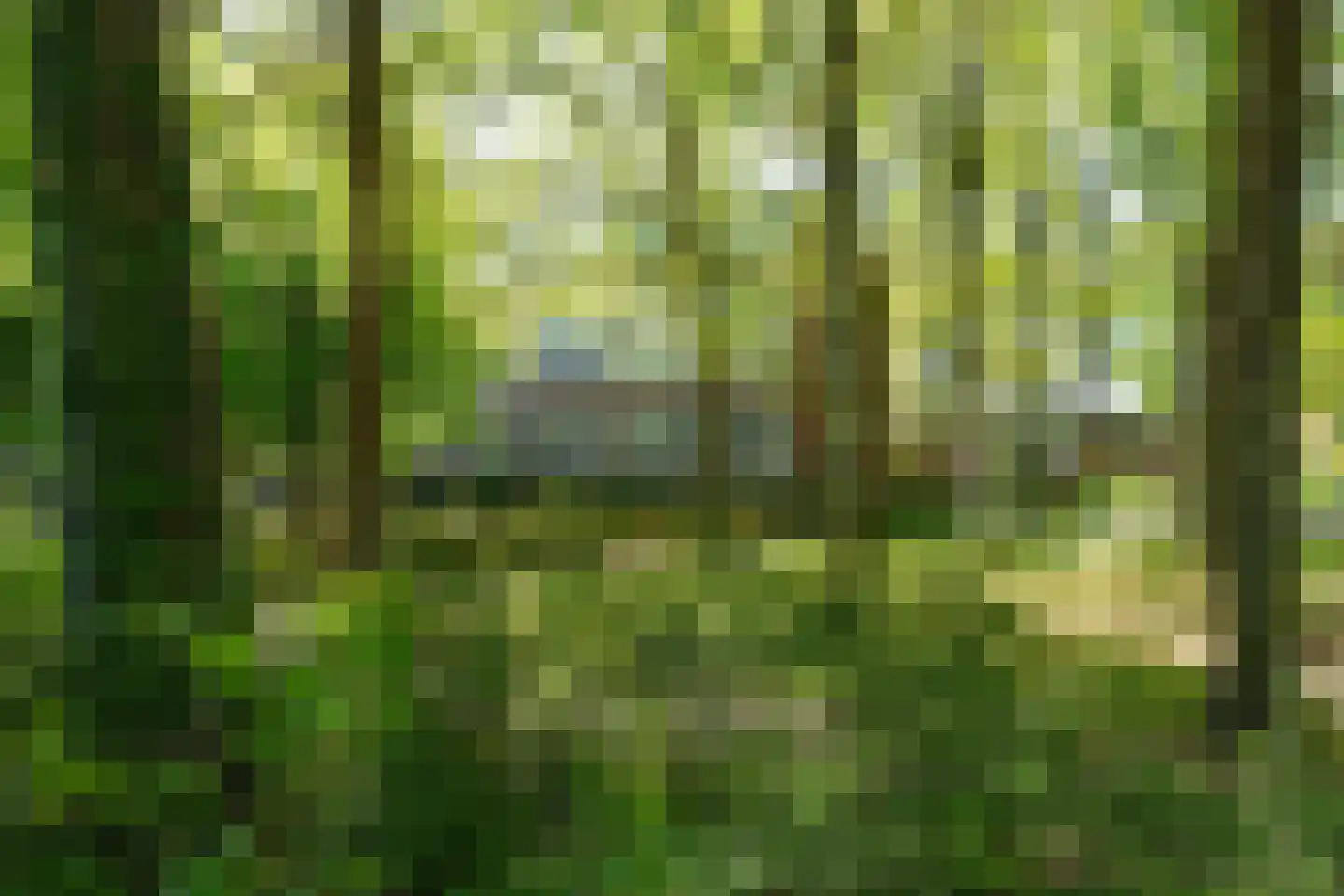 Van 't Hoffstraat 81 Wageningen thumbnail 32