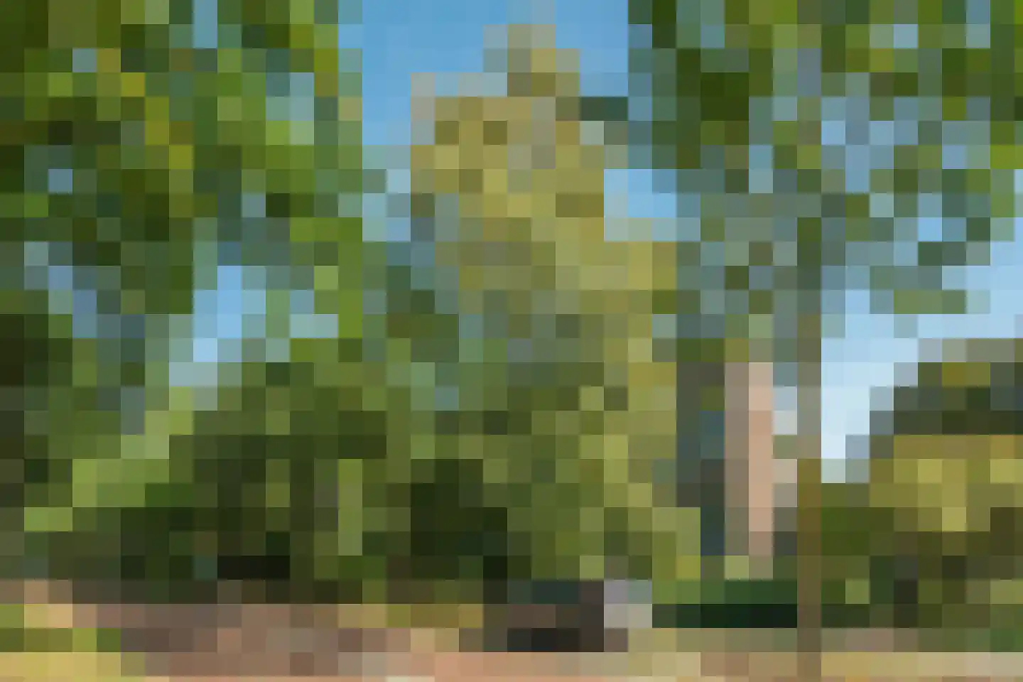 Van 't Hoffstraat 81 Wageningen thumbnail 7