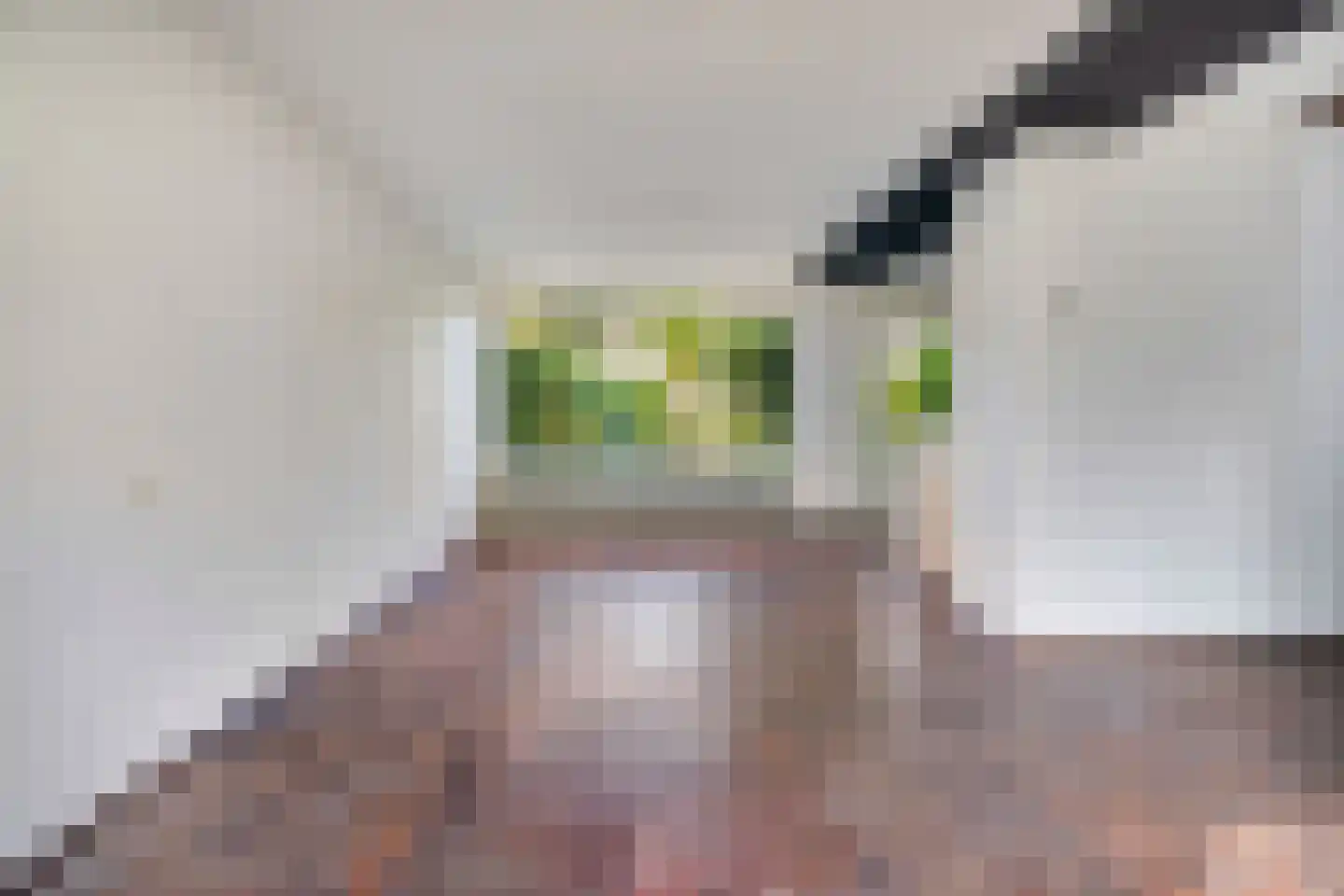 Van 't Hoffstraat 90 Etten-Leur thumbnail 13