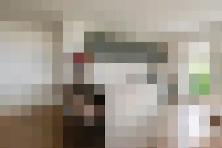Van 't Rieterf 11 Veenendaal thumbnail 10