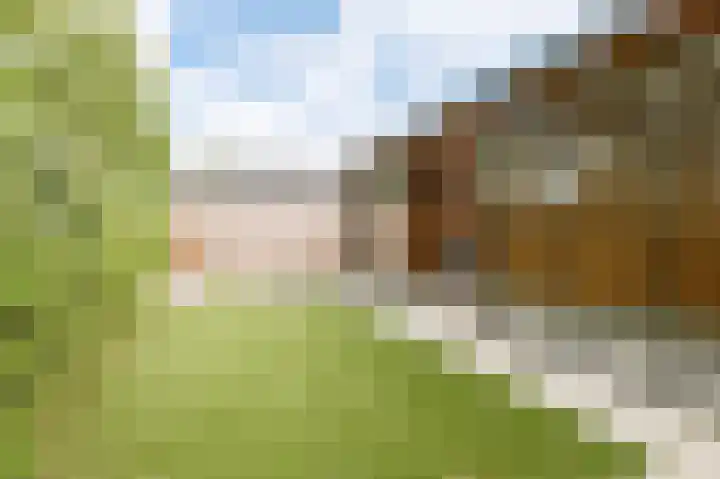 Van 't Rieterf 11 Veenendaal thumbnail 22