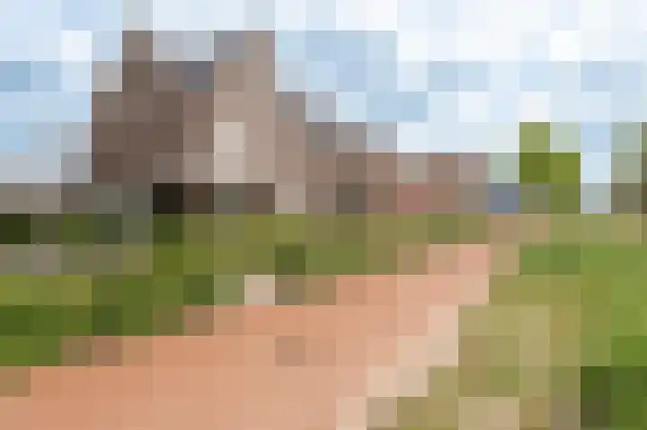 Van 't Rieterf 11 Veenendaal thumbnail 43
