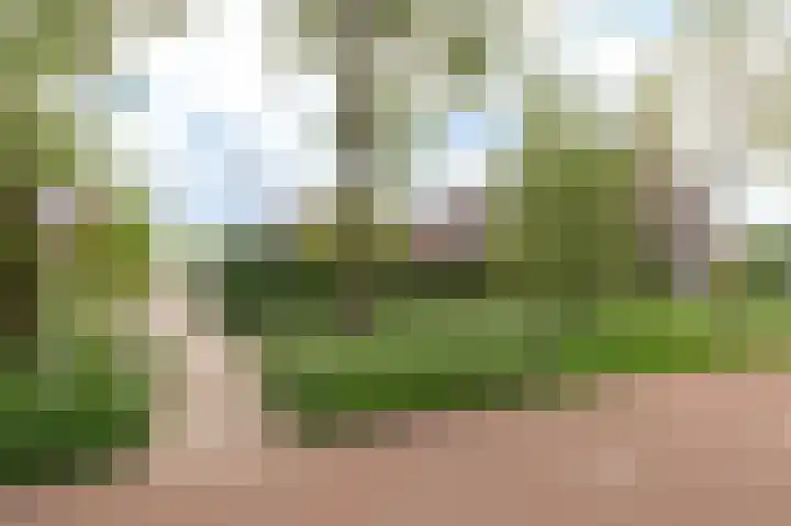 Van 't Rieterf 11 Veenendaal thumbnail 44