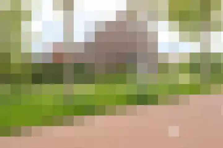 Van 't Rieterf 11 Veenendaal thumbnail 45
