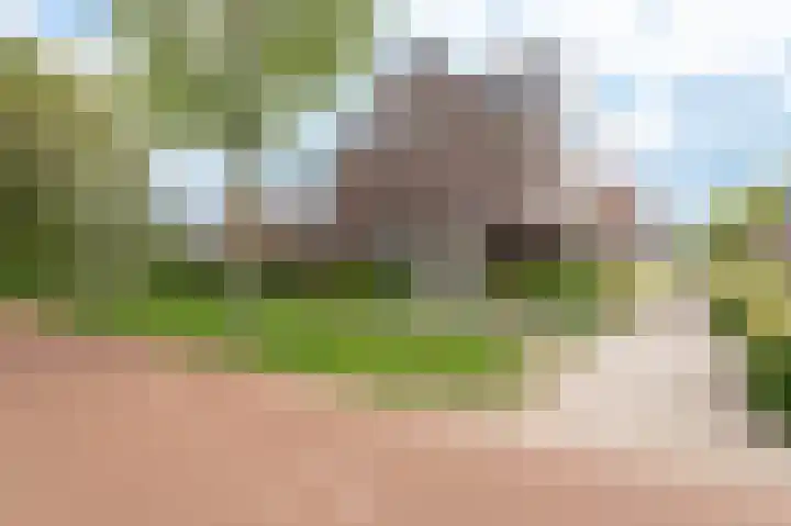Van 't Rieterf 11 Veenendaal thumbnail 46