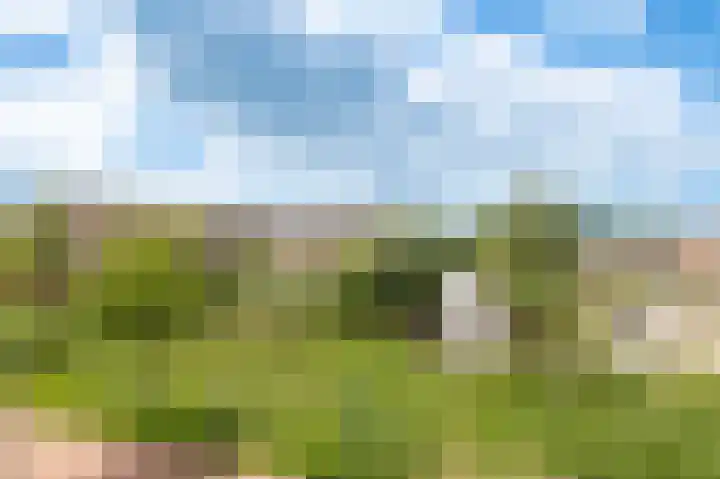 Van 't Rieterf 11 Veenendaal thumbnail 47