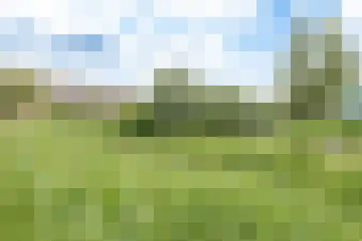 Van 't Rieterf 11 Veenendaal thumbnail 48