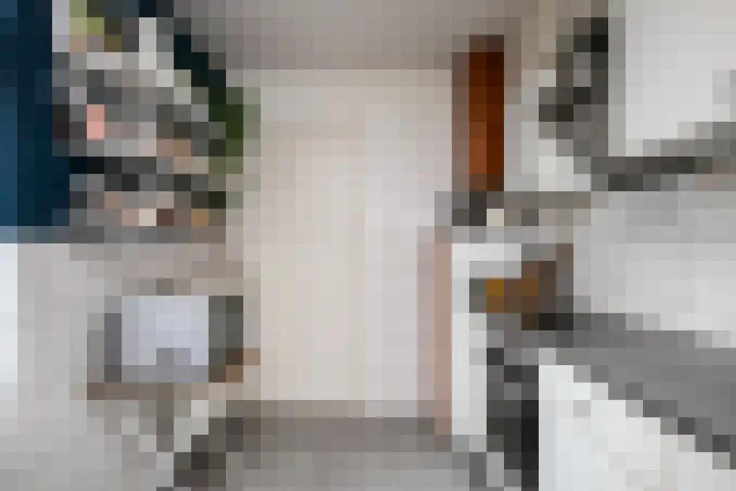Van 't Santstraat 123 Nijmegen thumbnail 15