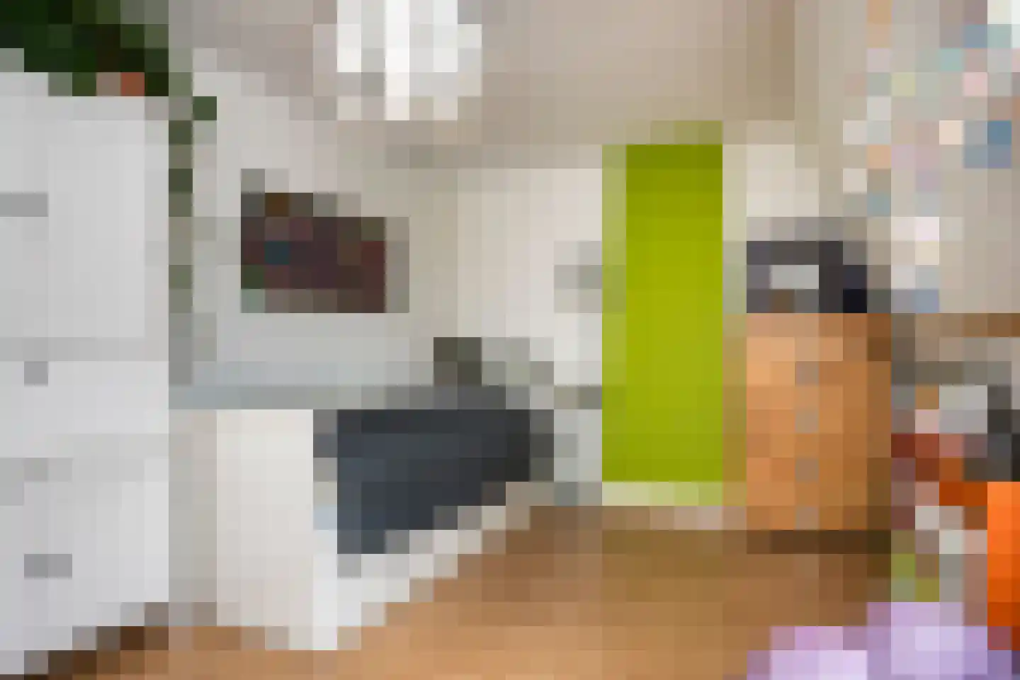 Van 't Santstraat 123 Nijmegen thumbnail 23