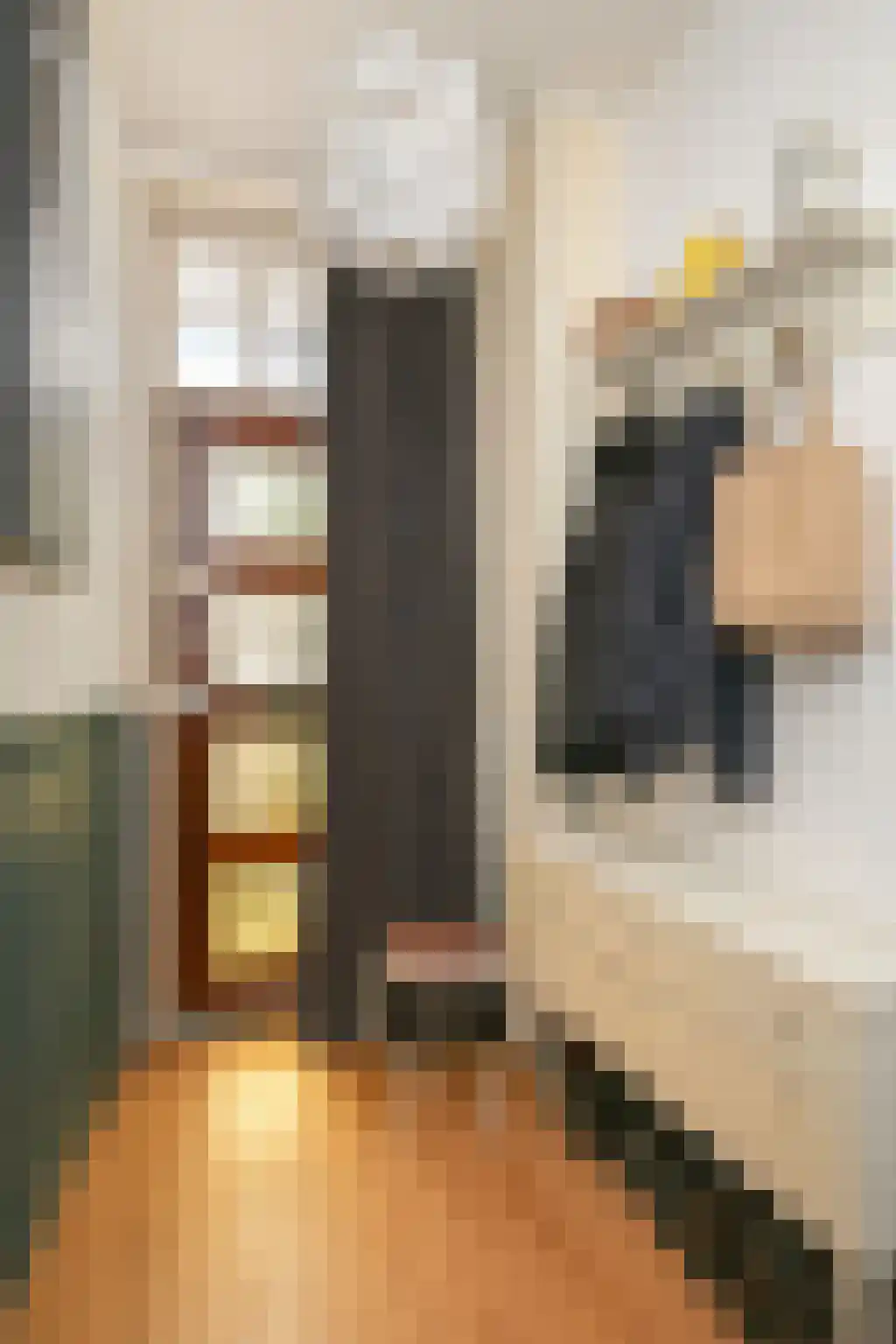 Van 't Santstraat 123 Nijmegen thumbnail 4