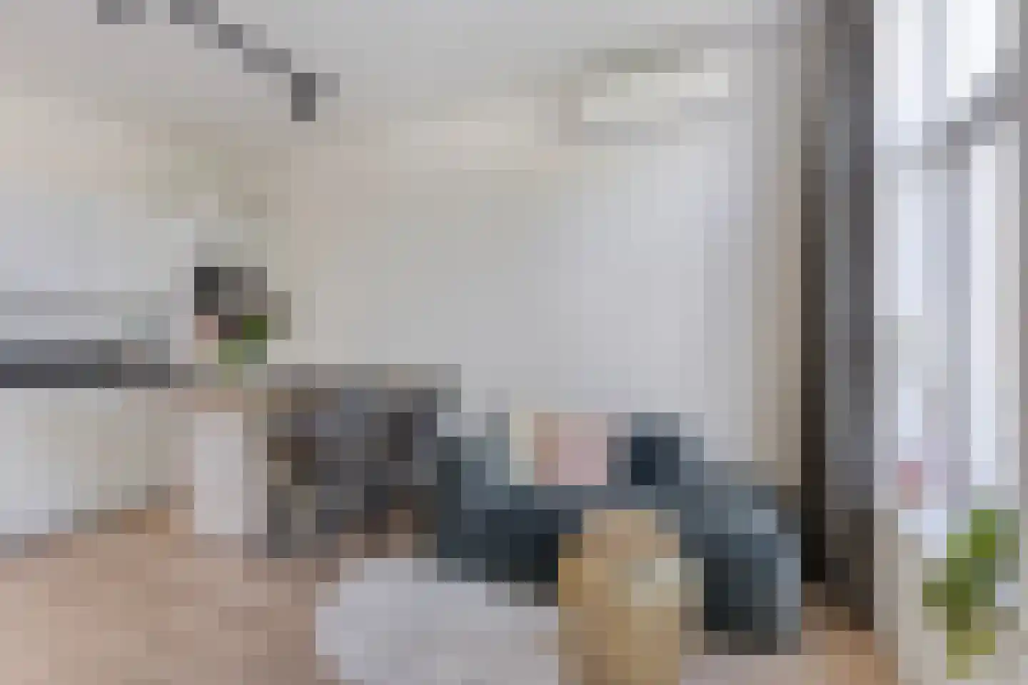 Van 't Santstraat 155 A Nijmegen thumbnail 7