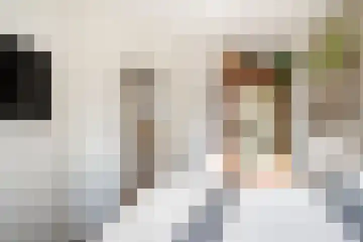 Van 't Santstraat 28 Nijmegen thumbnail 25