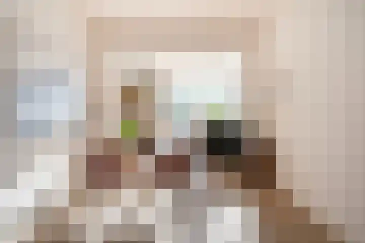 Van 't Santstraat 28 Nijmegen thumbnail 4