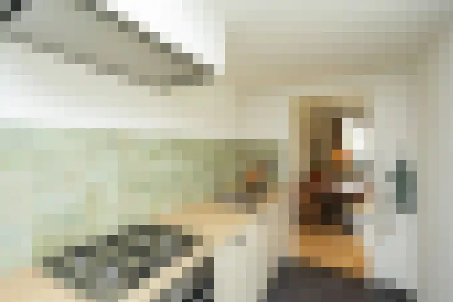 Van 't Santstraat 30 Nijmegen thumbnail 16