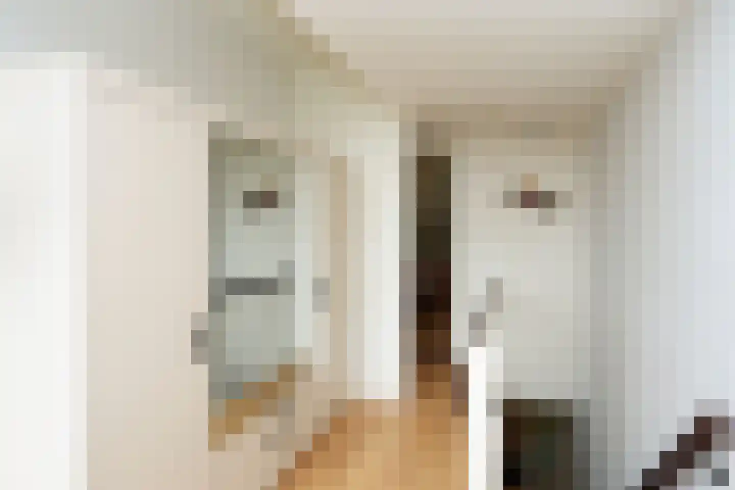 Van 't Santstraat 30 Nijmegen thumbnail 20