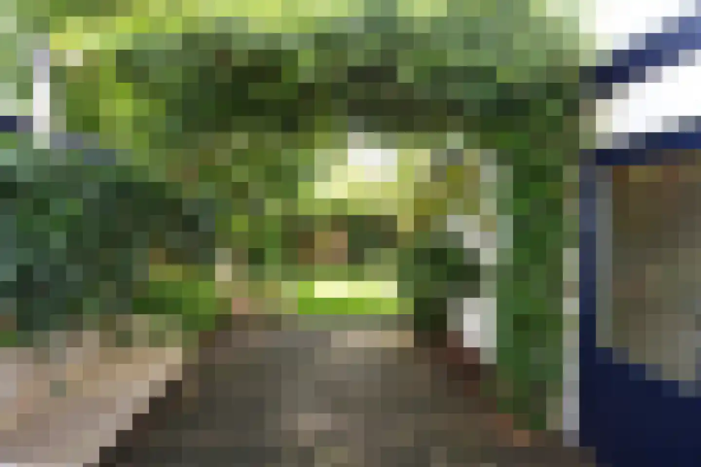 Van 't Santstraat 30 Nijmegen thumbnail 32