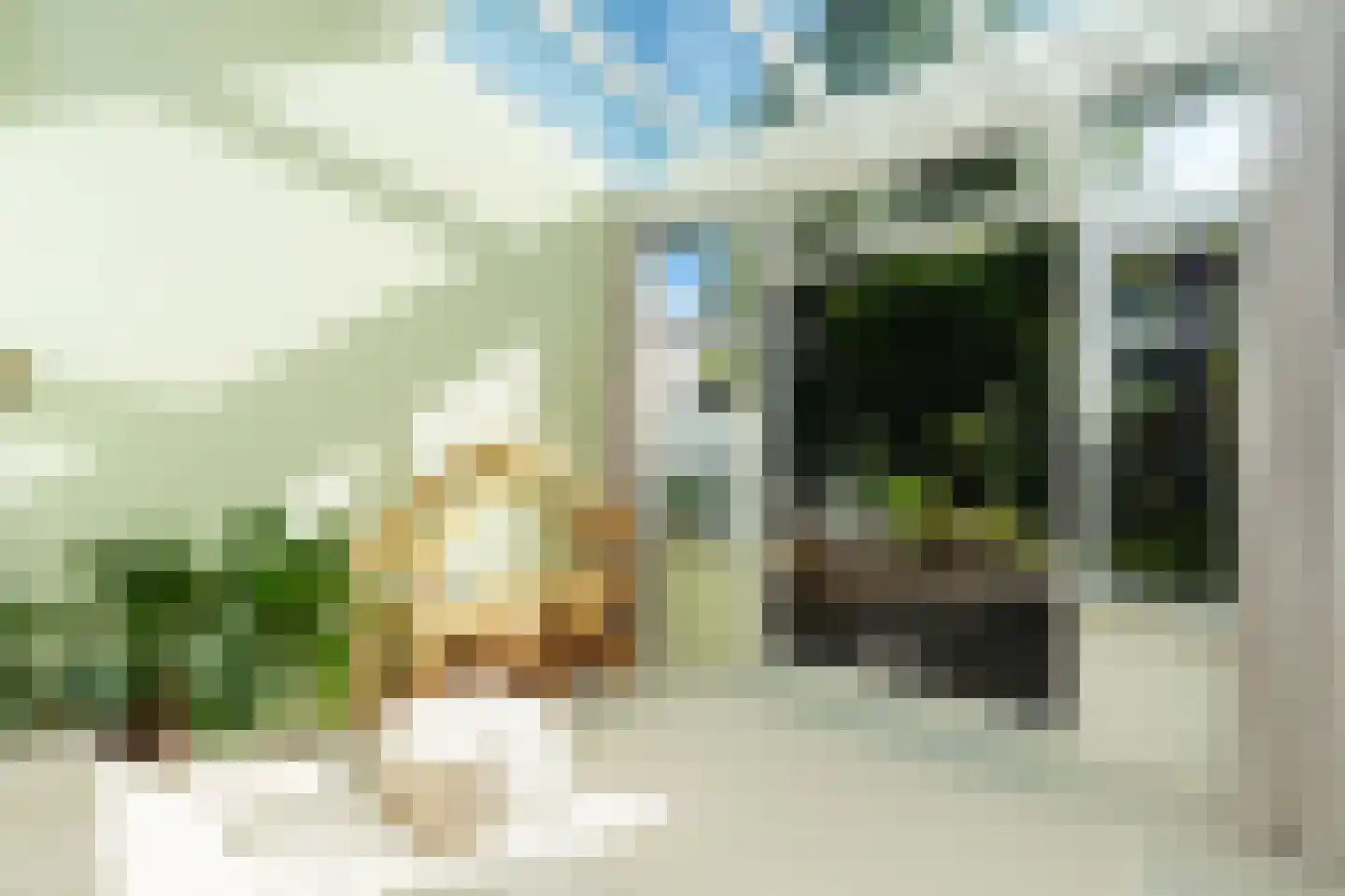 Van 't Santstraat 30 Nijmegen thumbnail 5