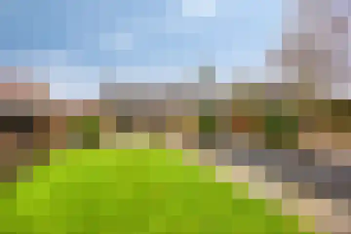 Van Teijenslaan 26 Nuis thumbnail 22