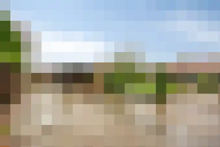 Van Teijenslaan 26 Nuis thumbnail 23