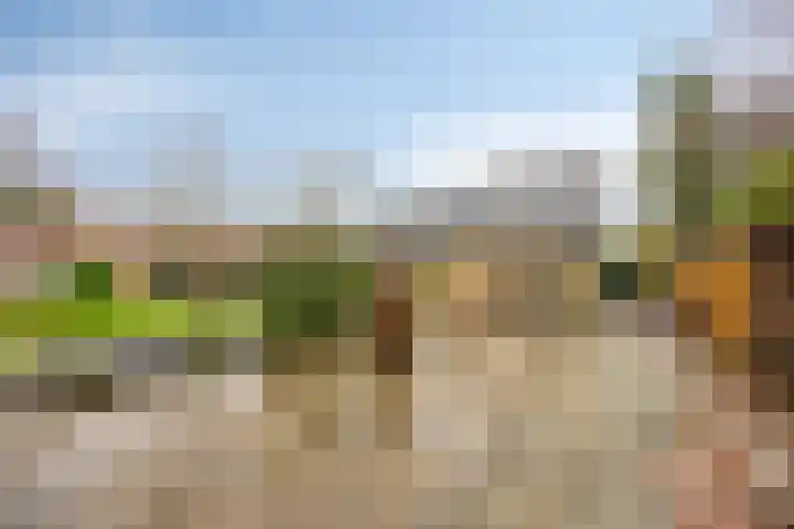 Van Teijenslaan 26 Nuis thumbnail 24