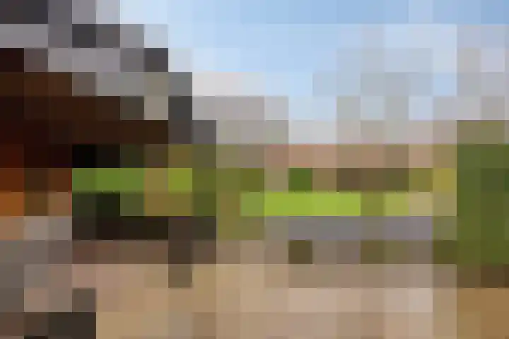 Van Teijenslaan 26 Nuis thumbnail 25