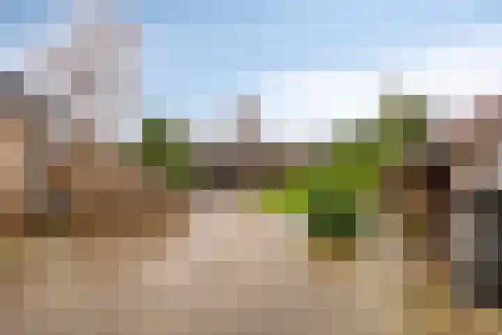 Van Teijenslaan 26 Nuis thumbnail 27