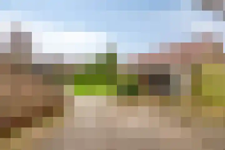 Van Teijenslaan 26 Nuis thumbnail 28