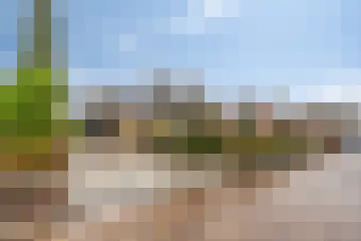 Van Teijenslaan 26 Nuis thumbnail 29