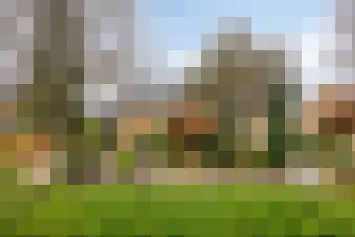 Van Teijenslaan 26 Nuis thumbnail 31