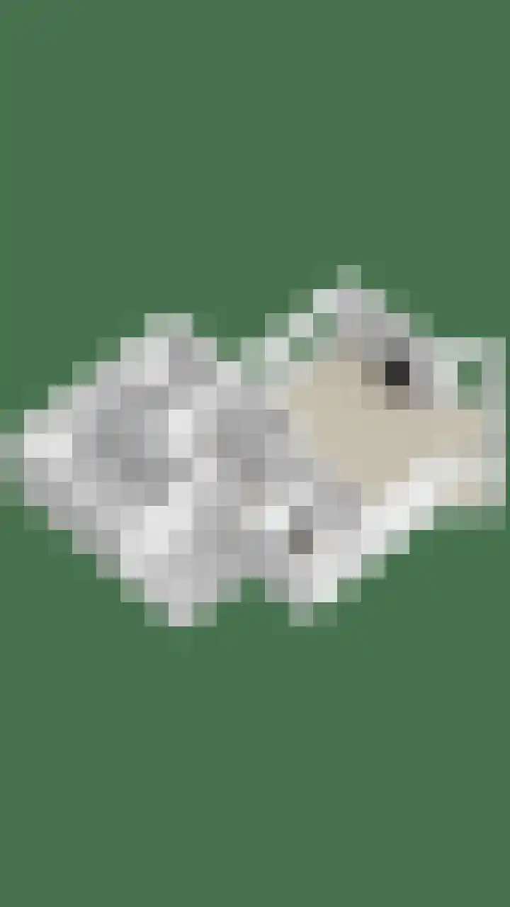 Van Teijenslaan 26 Nuis thumbnail 37
