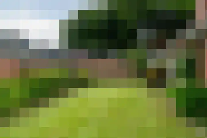 van Teijenswei 1 Westergeast thumbnail 29