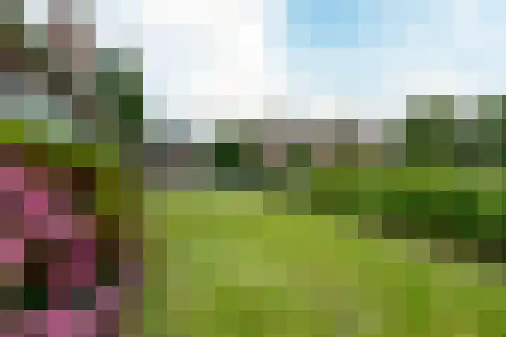 van Teijenswei 1 Westergeast thumbnail 30