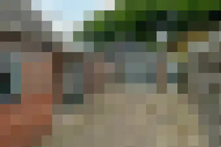 van Teijenswei 1 Westergeast thumbnail 31