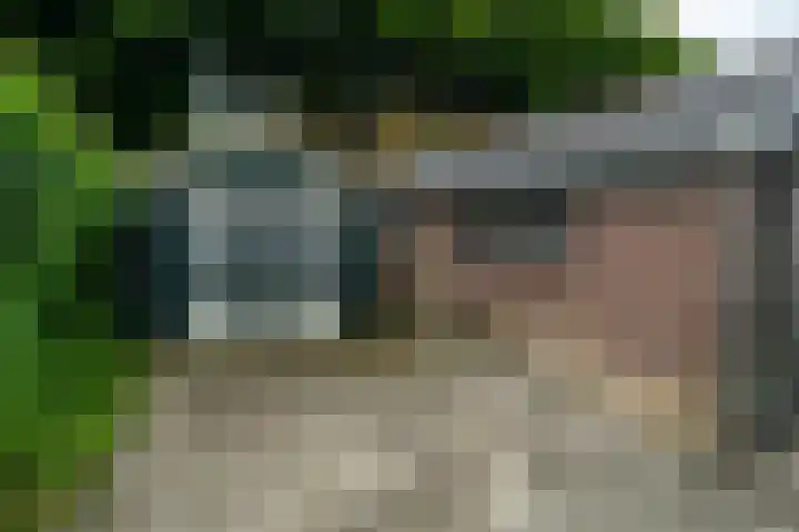 van Teijenswei 1 Westergeast thumbnail 32
