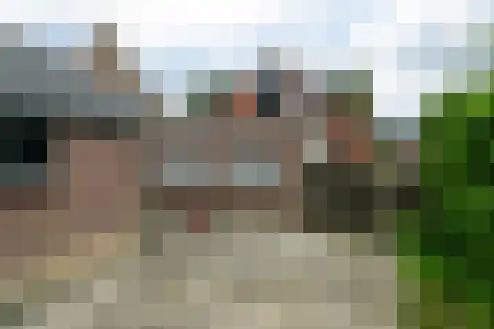 van Teijenswei 1 Westergeast thumbnail 36